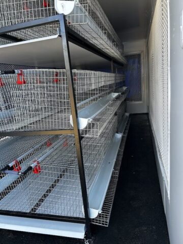 Egg Laying Container Egg production container conversion